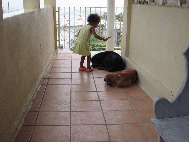 Antigua_Vacation_132.JPG - Willow and her pals