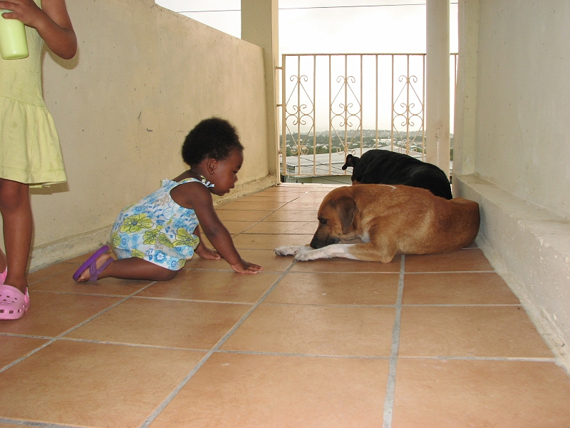 Antigua_Vacation_154.JPG - When you want to be friends, you gotta get down to their level...