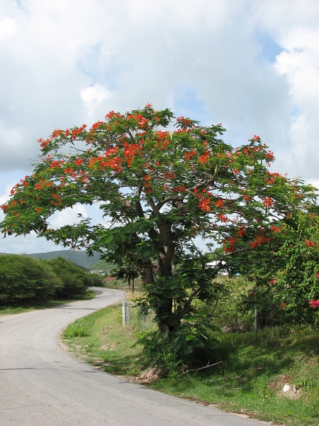 Antigua_Vacation_260-ed.jpg