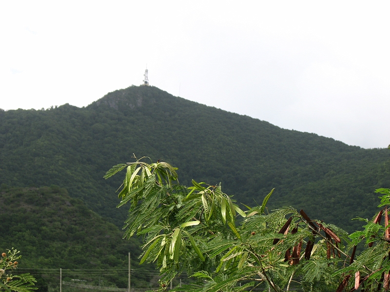 Antigua_Vacation_264.JPG - On our way to Falmouth Harbour to see Ann and Rolston, we pass Buggy Peak - tallest elevation on Antigua