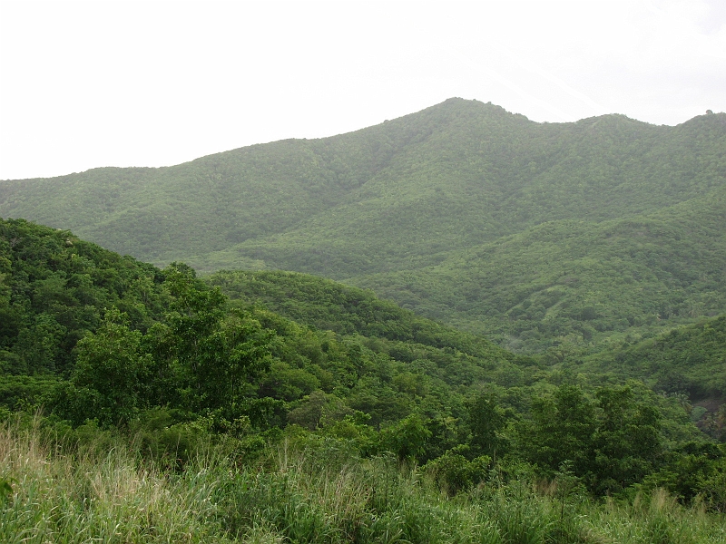 Antigua_Vacation_282-ed.jpg - Nice view as we head into the Antiguan rainforest