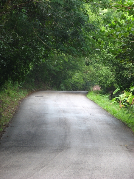 Antigua_Vacation_285.JPG - Speed enthusiasts would love driving on the narrow winding roads of Fig Tree Drive...no barriers, shoulders, lights, signs or lane markers...watch out for on-coming traffic...